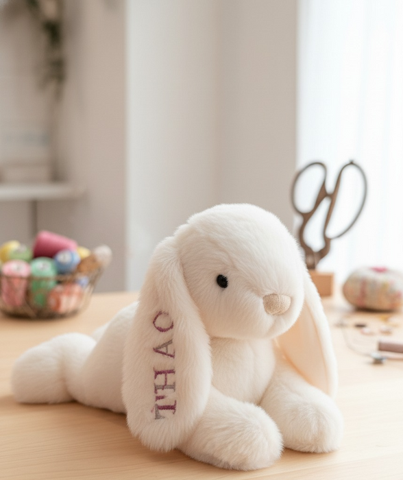 Embroidery Workshop - Basic Workshop  @ Punggol Oasis Terraces (For 3 hours )