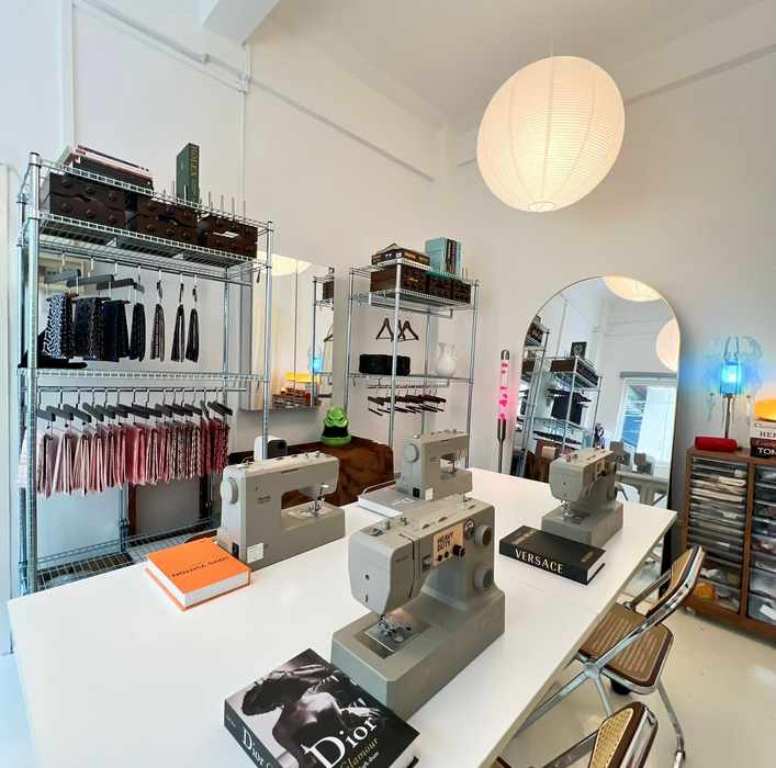 Heavy Duty Sewing Machine, FEIYUE Model: FYe393